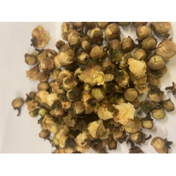 Kwiat Kamelia 100 G